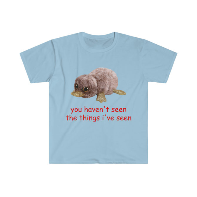 You Haven’t Seen the Things I’ve Seen T-Shirt – Oddly Specific Funny Parody Meme Tee